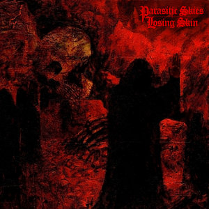 Split w/ Parasitic Skies cover