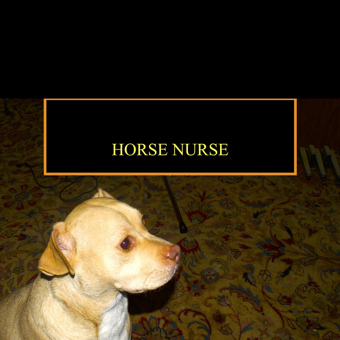 Horse Nurse Horse Nurse