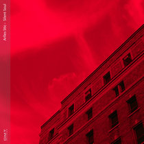 Silent Soul cover art
