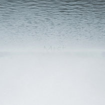 Mist cover art