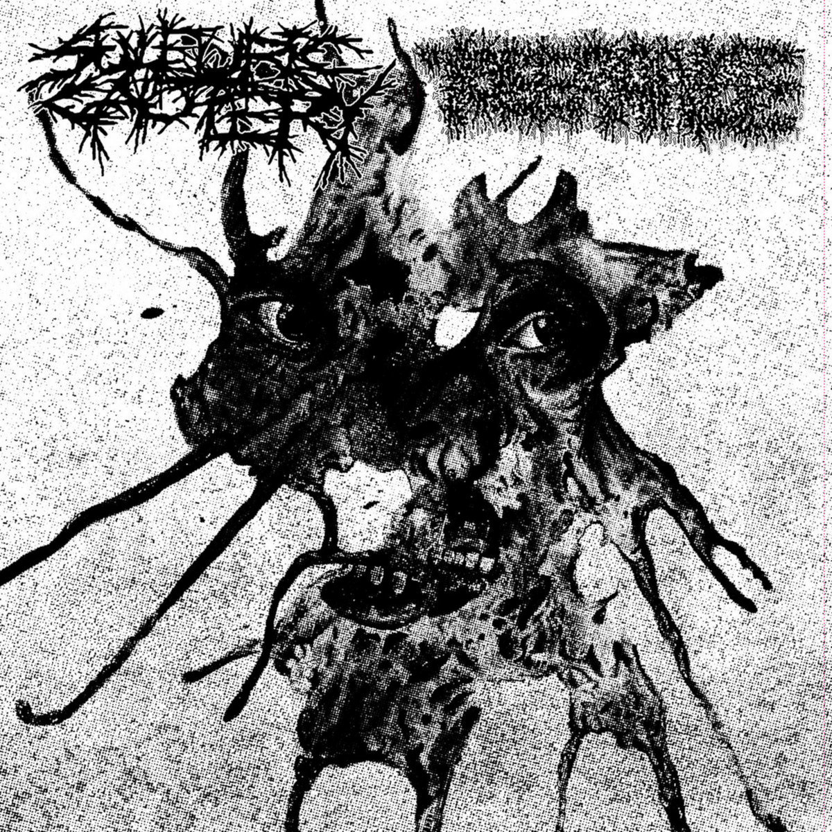SPLIT WITH CxCxCxCxCxCxCxCxC | TOLERANCE