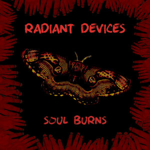 Soul Burns (Einstürzende Neubauten cover) cover