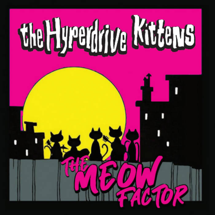 The Meow Factor  The Hyperdrive Kittens
