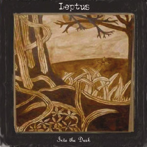 Into the Dusk cover