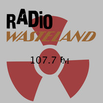 Radio Wasteland 107.7 FM cover art
