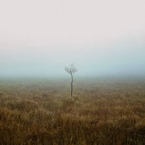 mist cover art