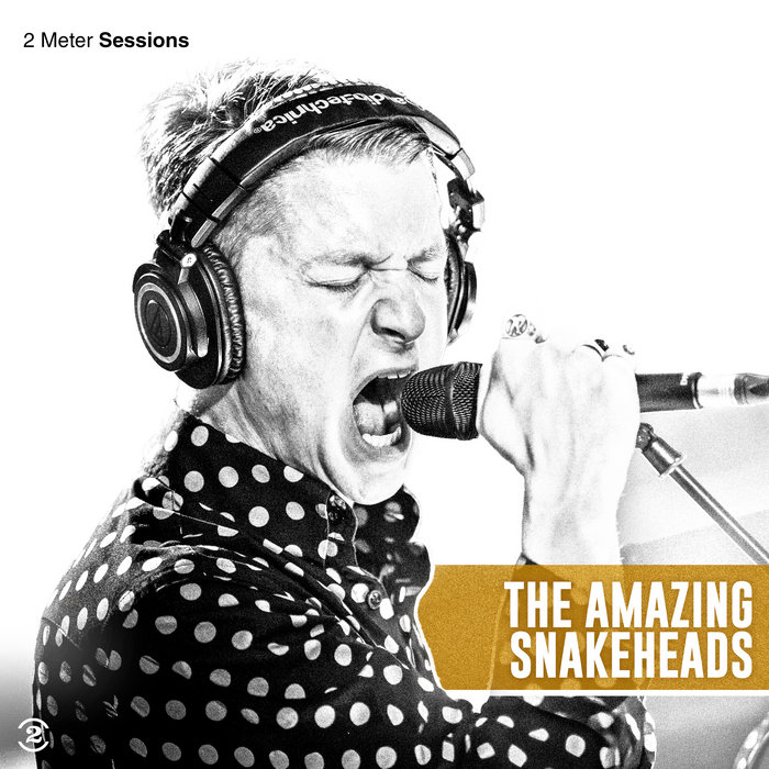 Pochette de 2 Meter Sessions par The Amazing Snakeheads