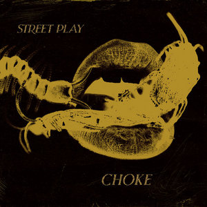 Choke cover
