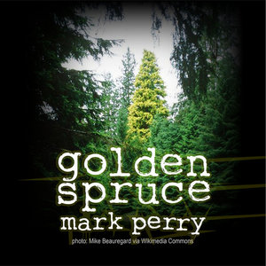 Golden Spruce cover