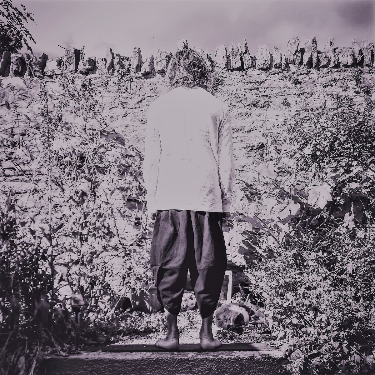 Standing Behind The Shoulders Of Giants Samishii