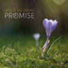 Promise