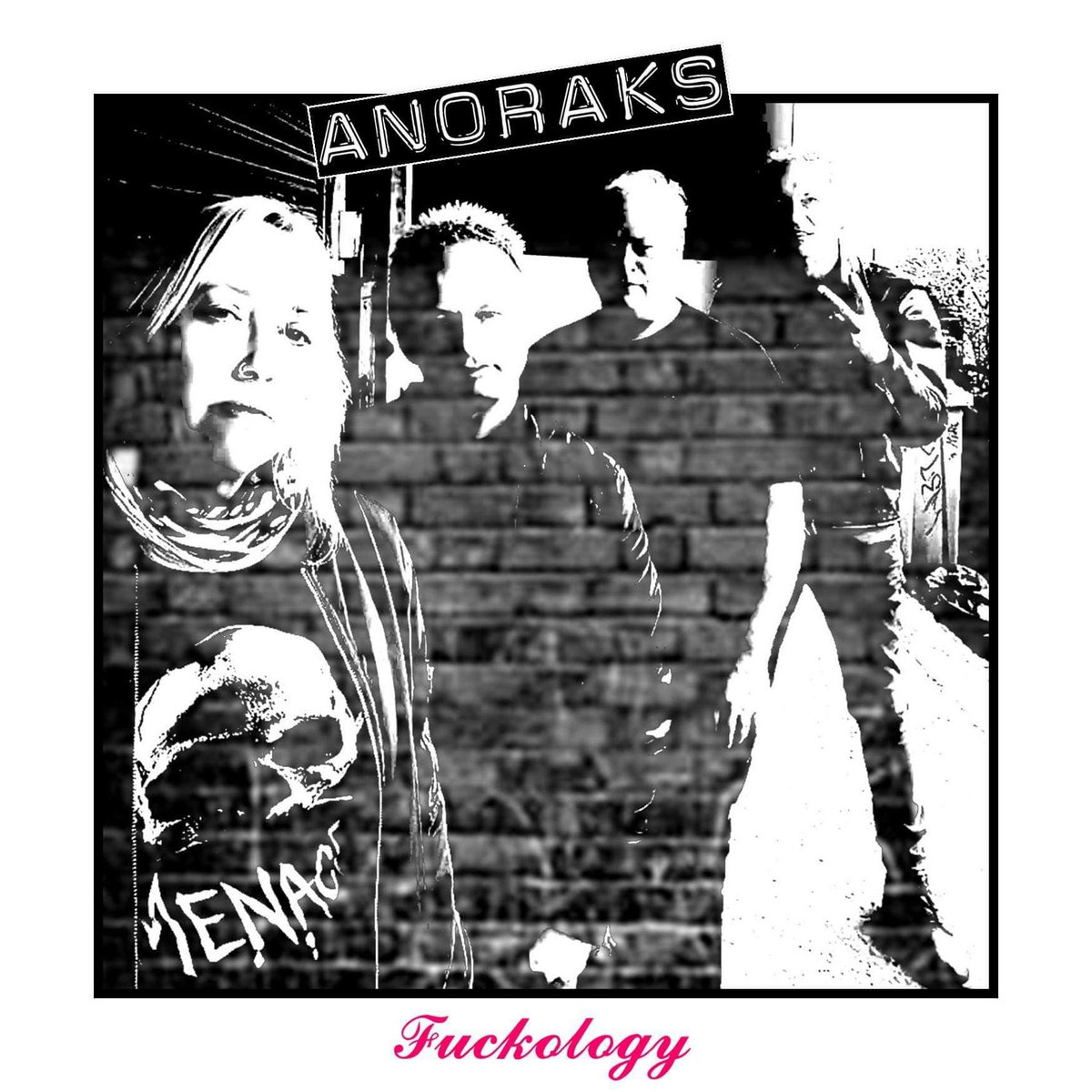 Fuckology | The Anoraks