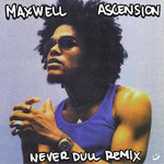 Maxwell - Ascension (Never Dull Remix)