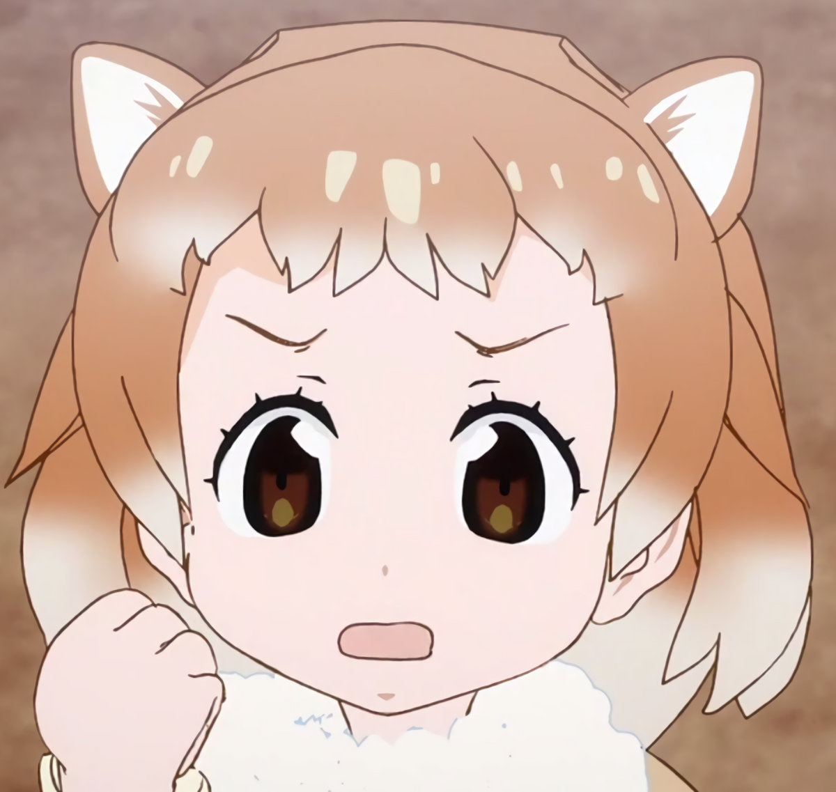 けものフレンズ Kemono Friends | NiV SKNCR
