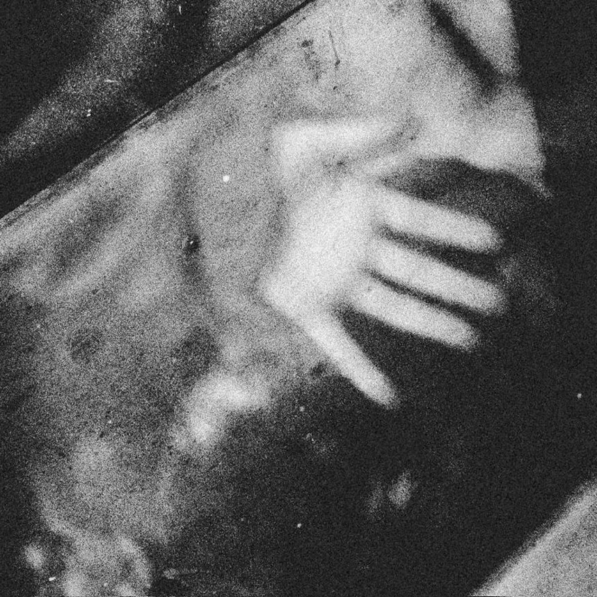 Green Panther EP | PANTHERA 95 | Illuminated Paths
