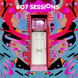 Josh Wink - 607 Sessions cover