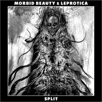 MB25 - Split with Leprotica cover art