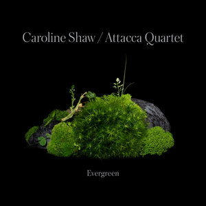 EvergreenCaroline Shaw & Attacca Quartet cover