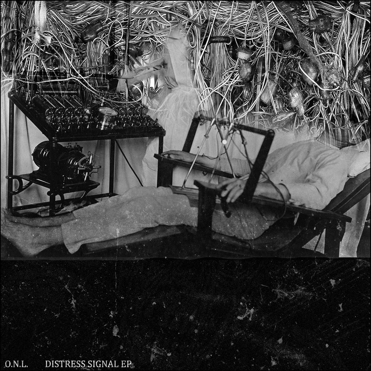 Grey Fox Distress Download Music Grey Fox Distress Download Music