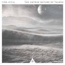 The Untrue Nature of Things cover art