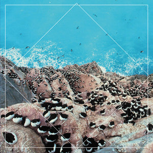 Split 7" cover