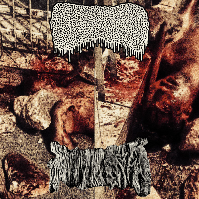 Split W Lymphoedema Fatal Complications Due To Septic Black Market