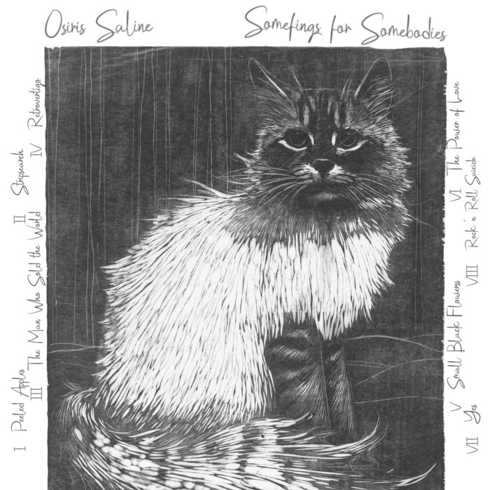 Somefings for Somebodies, by Osiris Saline