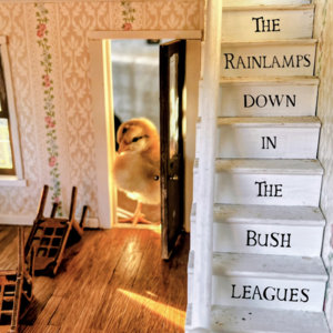 Down In The Bush Leagues cover