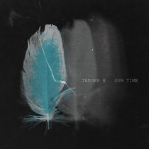 Tender H - Dub Time cover art