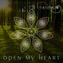 Open My Heart cover art