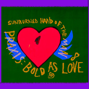 Praxis: Bold As Love cover
