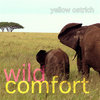 Wild Comfort Cover Art
