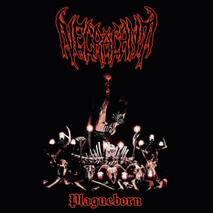 Plagueborn cover