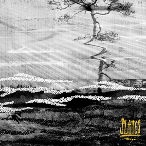 Slates — Taiga