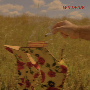 Wildfire cover