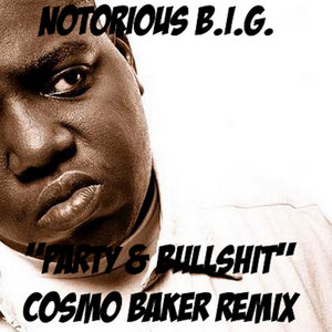 Party And Bullshit (Cosmo Baker Remix) cover