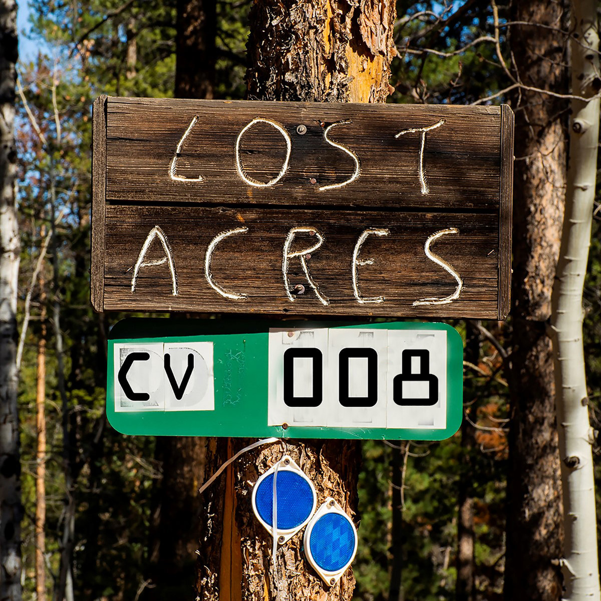 Headwaters | Connected View | Rewilding