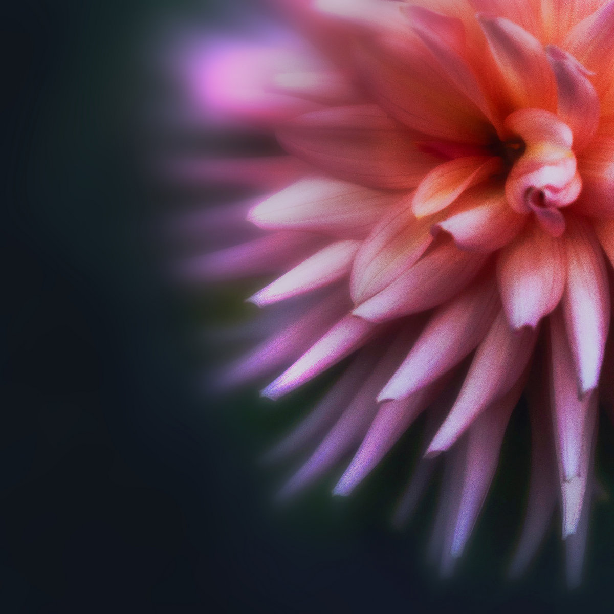 Lifeforms cover artwork