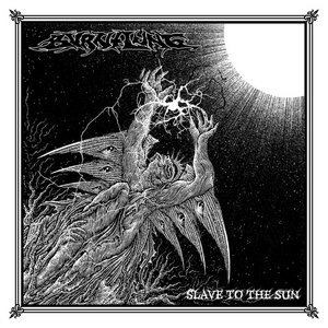Slave To The Sun cover