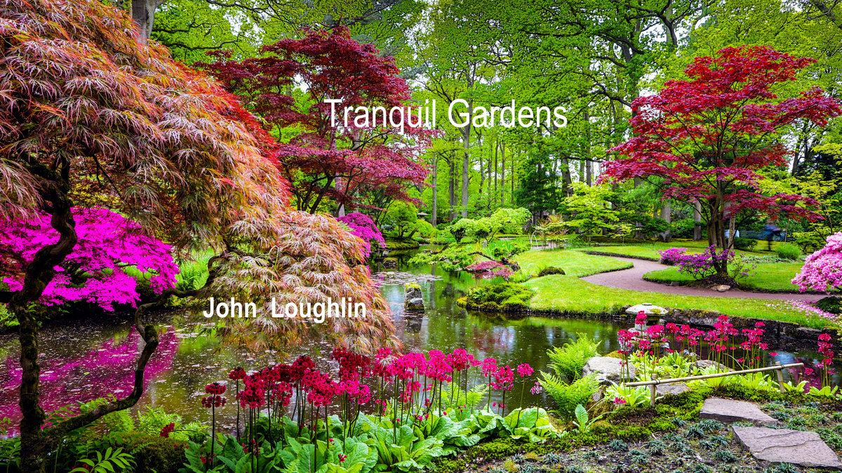 TRANQUIL GARDENS | John Loughlin