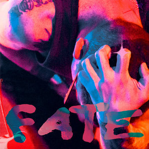 Fate cover