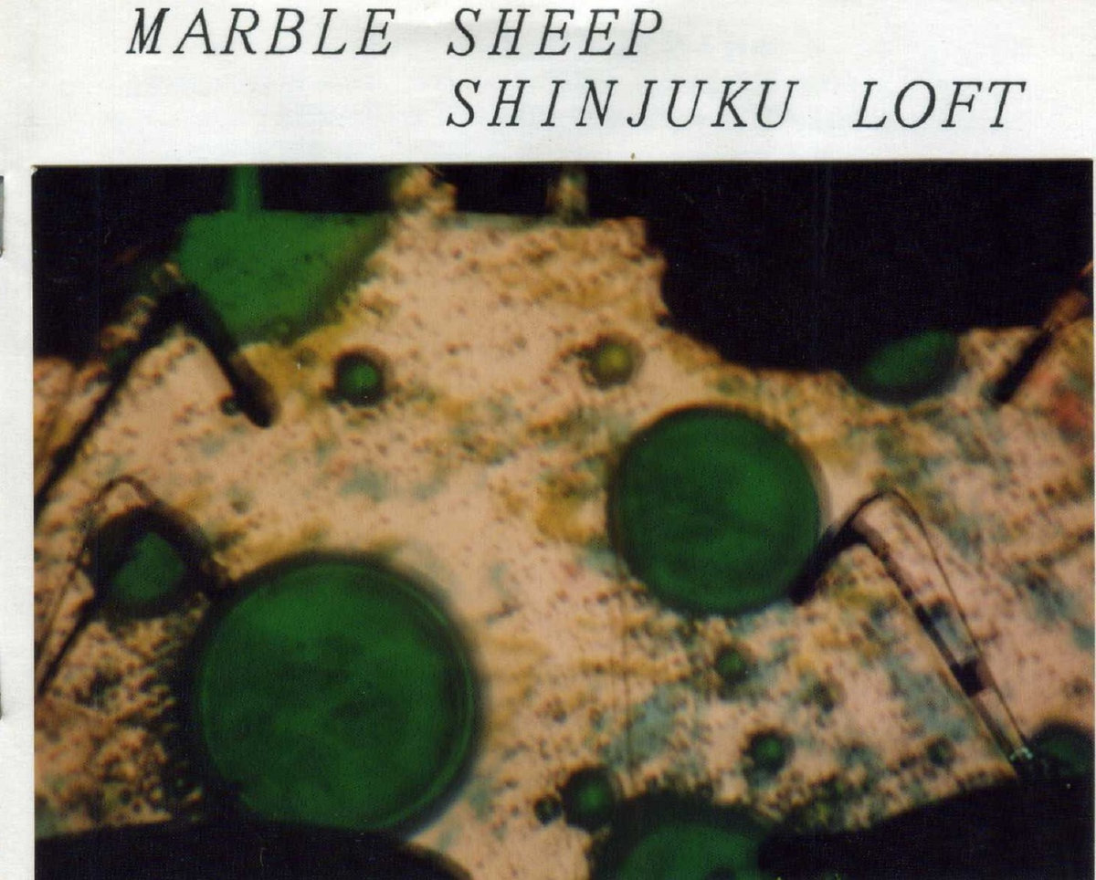 SHINJUKU LOFT (1988) | MARBLE SHEEP & THE RUN-DOWN SUN'S