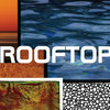 ROOFTOP EP Cover Art