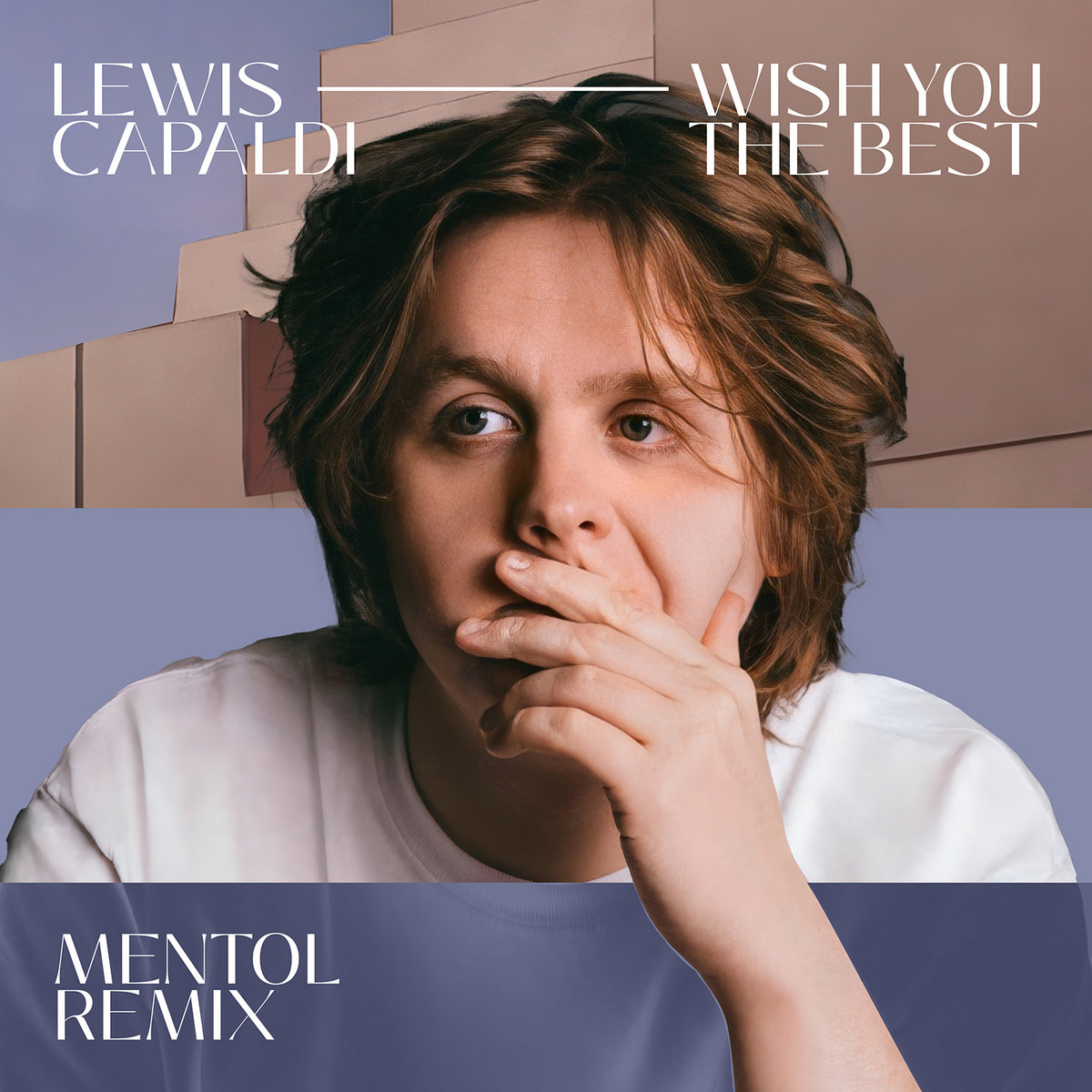 Lewis Capaldi Wish You The Best Deutsch