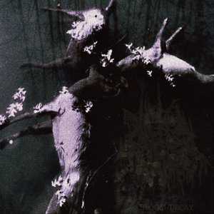 BLOOM/DECAY cover