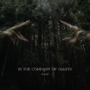 In the Company of Giants cover