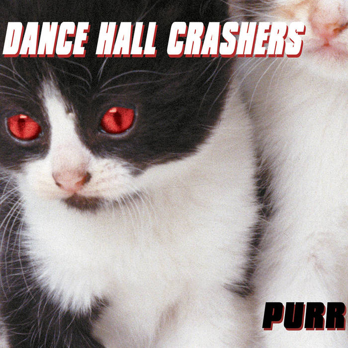Purr | Dance Hall Crashers