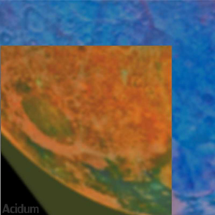 To Perceive the Uncertain | Acidum
