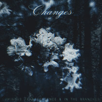 Changes cover art