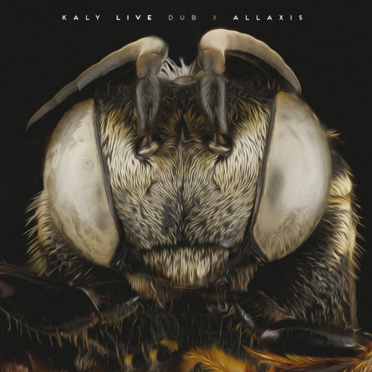 kaly live dub allaxis